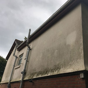 Exterior Wall Cleaning (Before)