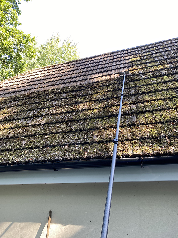 roof moss removal